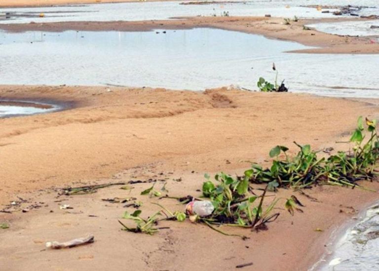 Corrientes En Alerta Por La Pesca Indiscriminada En El Paran El