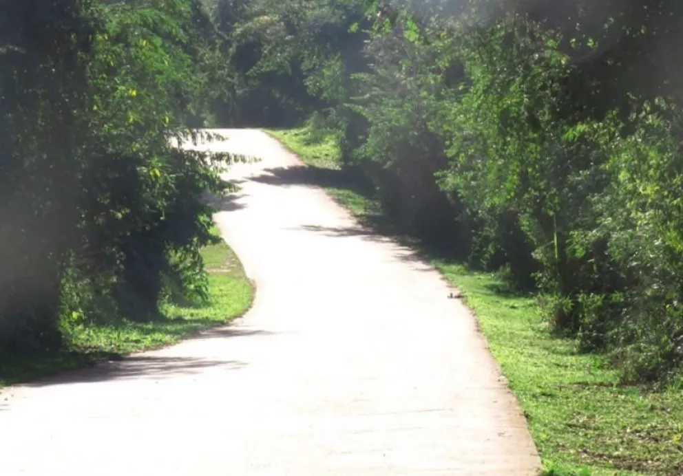 Iguazú: paseaba en bicicleta por las 600 hectáreas y fue atacada con intenciones de robo
