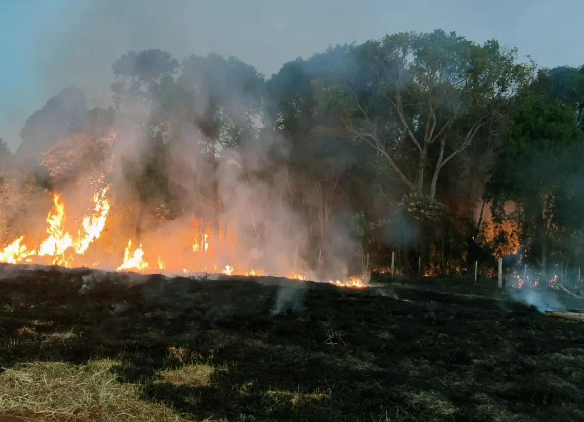 San Pedro: registran más de diez focos de incendios forestales en los últimos días