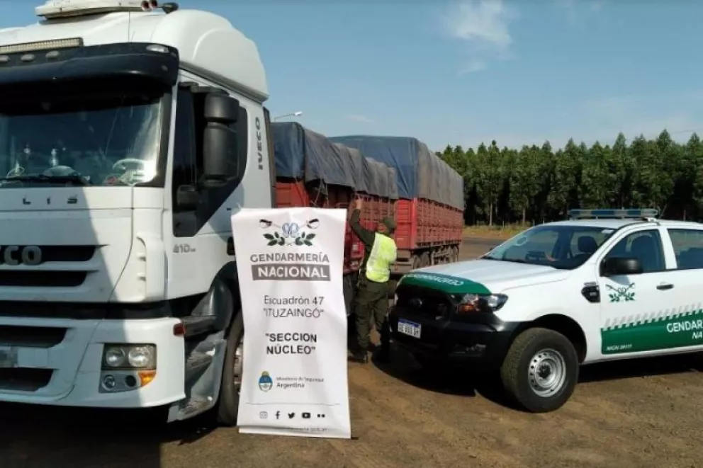 Gendarmería decomisó más de 190 toneladas de soja en Ituzaingó