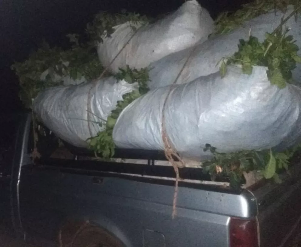San Pedro: secuestran siete ponchadas de yerba mate robadas de la propiedad de un agricultor