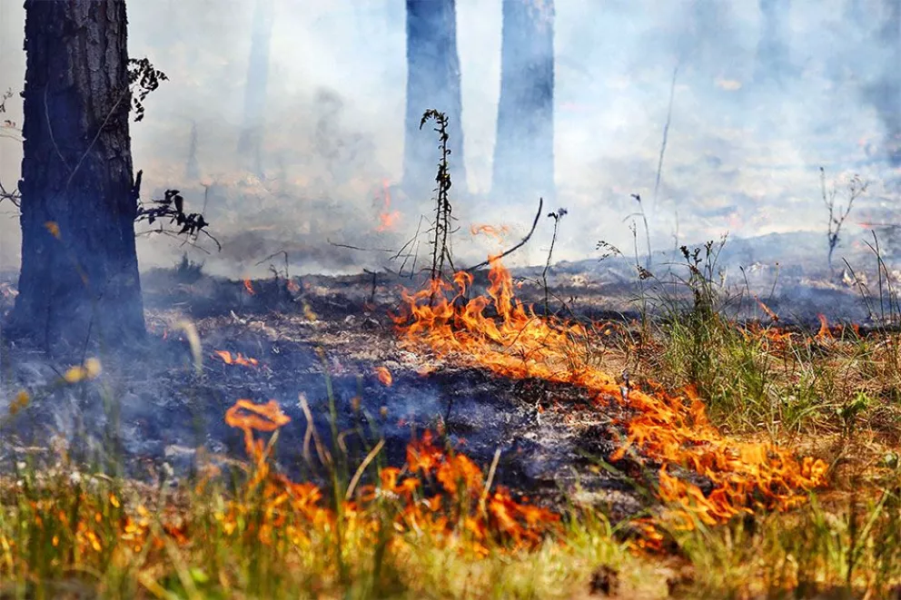 Casi 300 incendios en 10 días y desfavorable panorama por la sequía