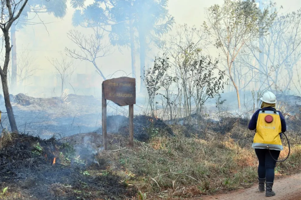 El incendio en el parque Araucaria, habría sido intencional y buscan al responsable