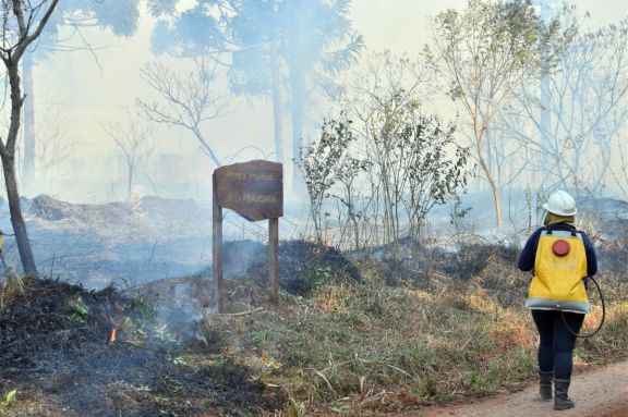 El incendi en el parque Araucaria habra sido intencional y buscan al responsable