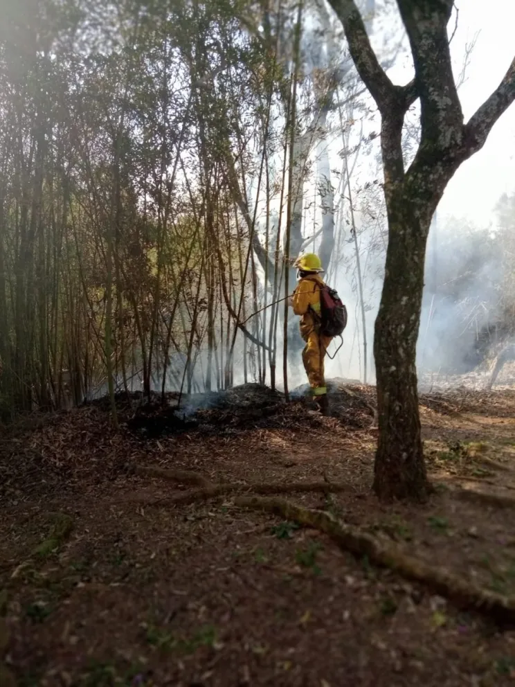 Sofocan incendio en el tacuaral de la Casa Museo Horacio Quiroga