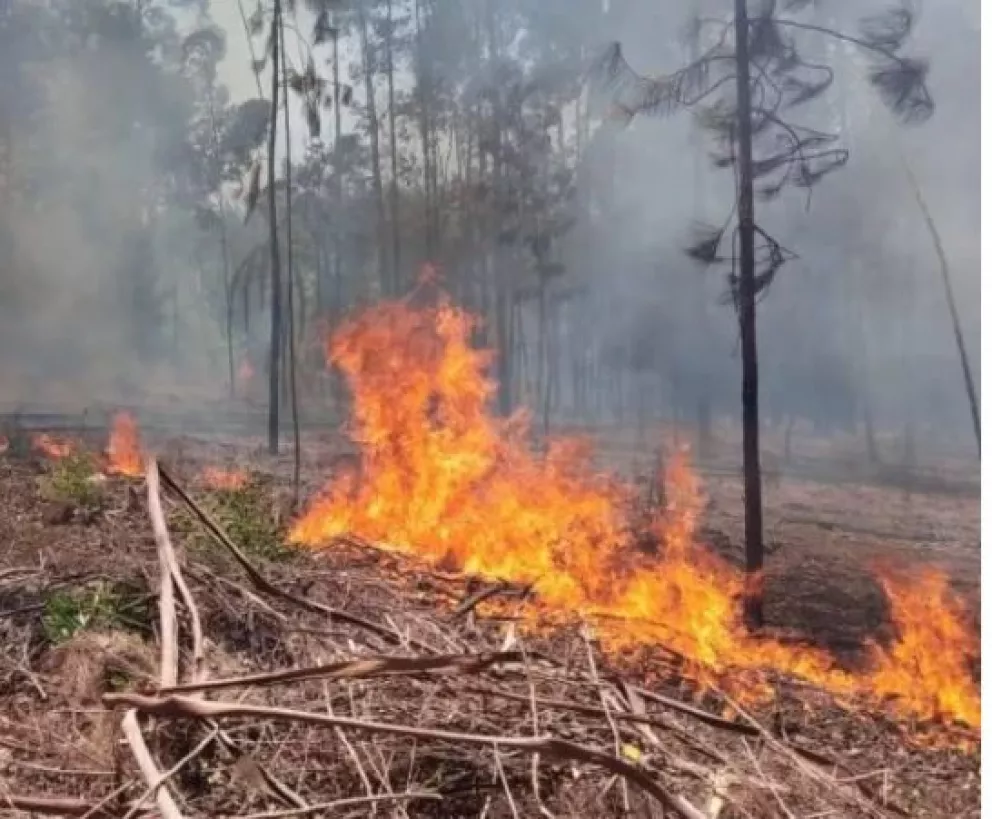Por alto riesgo de incendios en Campo Ramón recuerdan la prohibición del uso del fuego