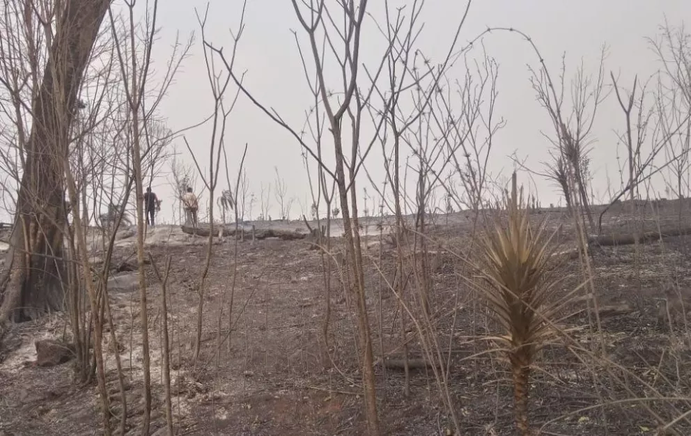 Incendios forestales: "Perdimos esta zafra y la de tres años más, pedimos justicia"