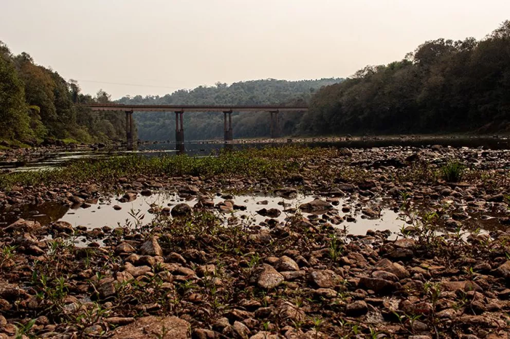 Río Paraná: la bajante ya causó pérdidas por 620 millones de dólares