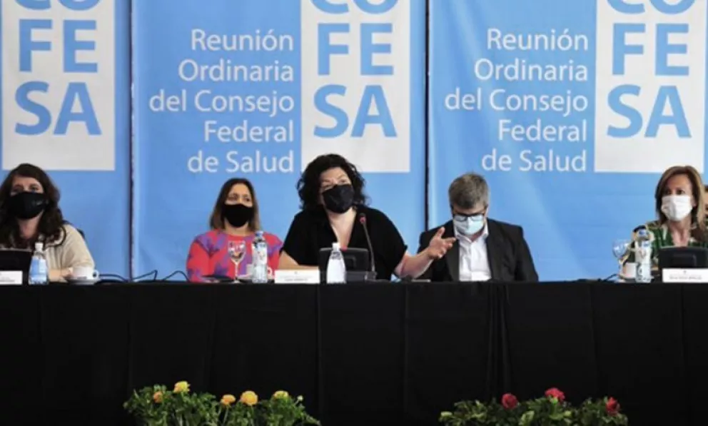 Vizzotti encabeza en San Luis la segunda jornada del Consejo Federal de Salud