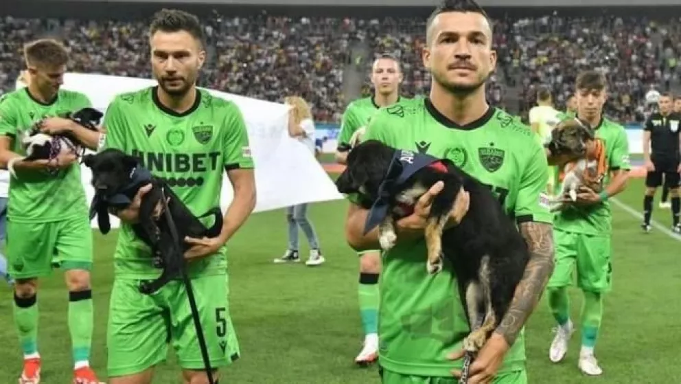 Adopción Responsable: equipos rumanos presentarán a perros en adopción antes de cada partido