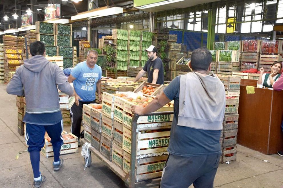 Mandioca, palta y limón de Misiones, lo que más se busca en Buenos Aires 