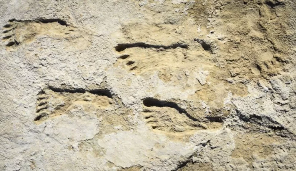 Huellas de 23.000 años reescriben la historia humana de América del Norte