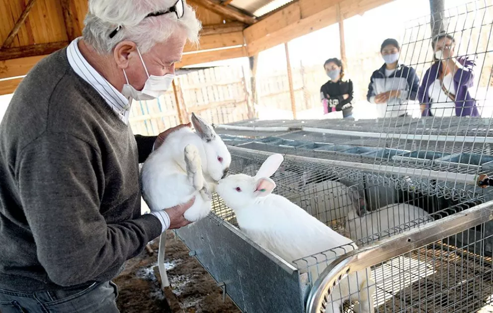 Original iniciativa de cría de conejos en la provincia