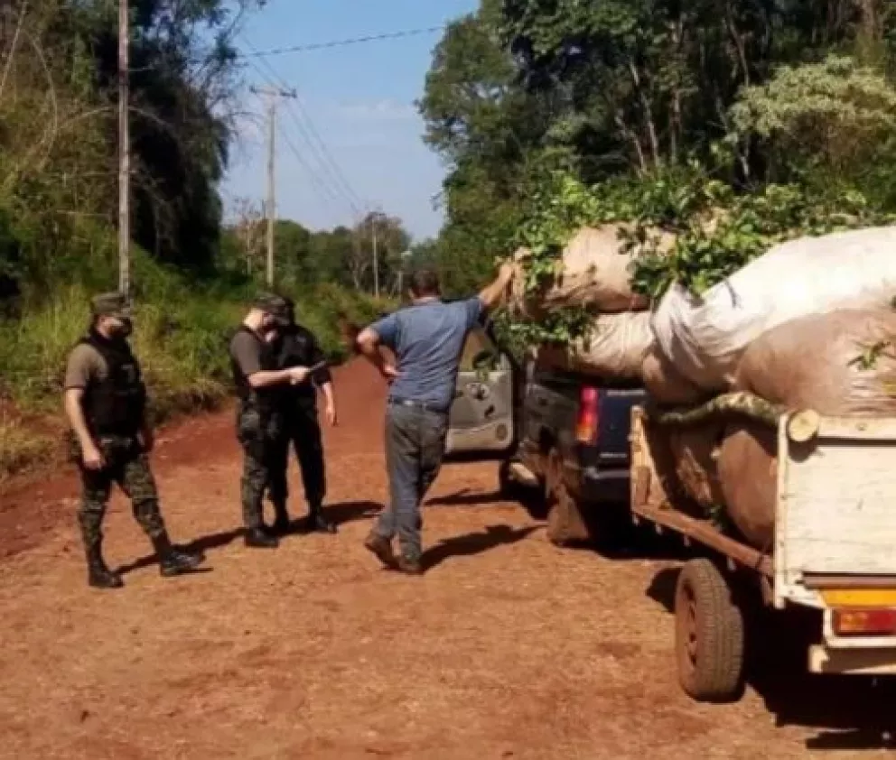 Refuerzan operativos en zonas rurales de Comandante Andresito