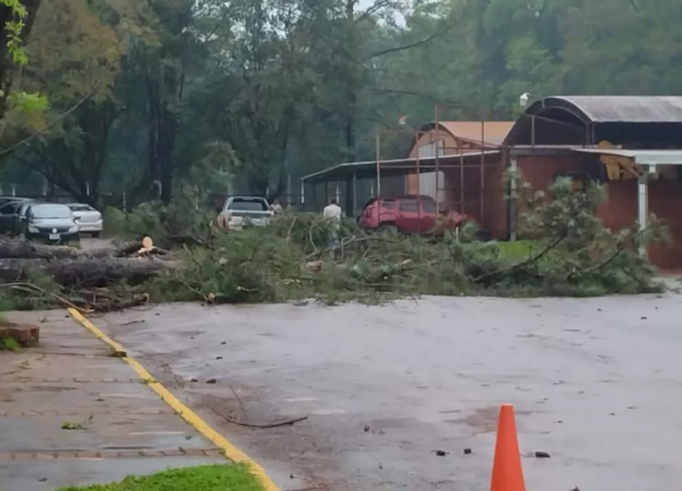 Ruiz de Montoya y Jardín América, otras de las localidades que sufrieron daños por el temporal