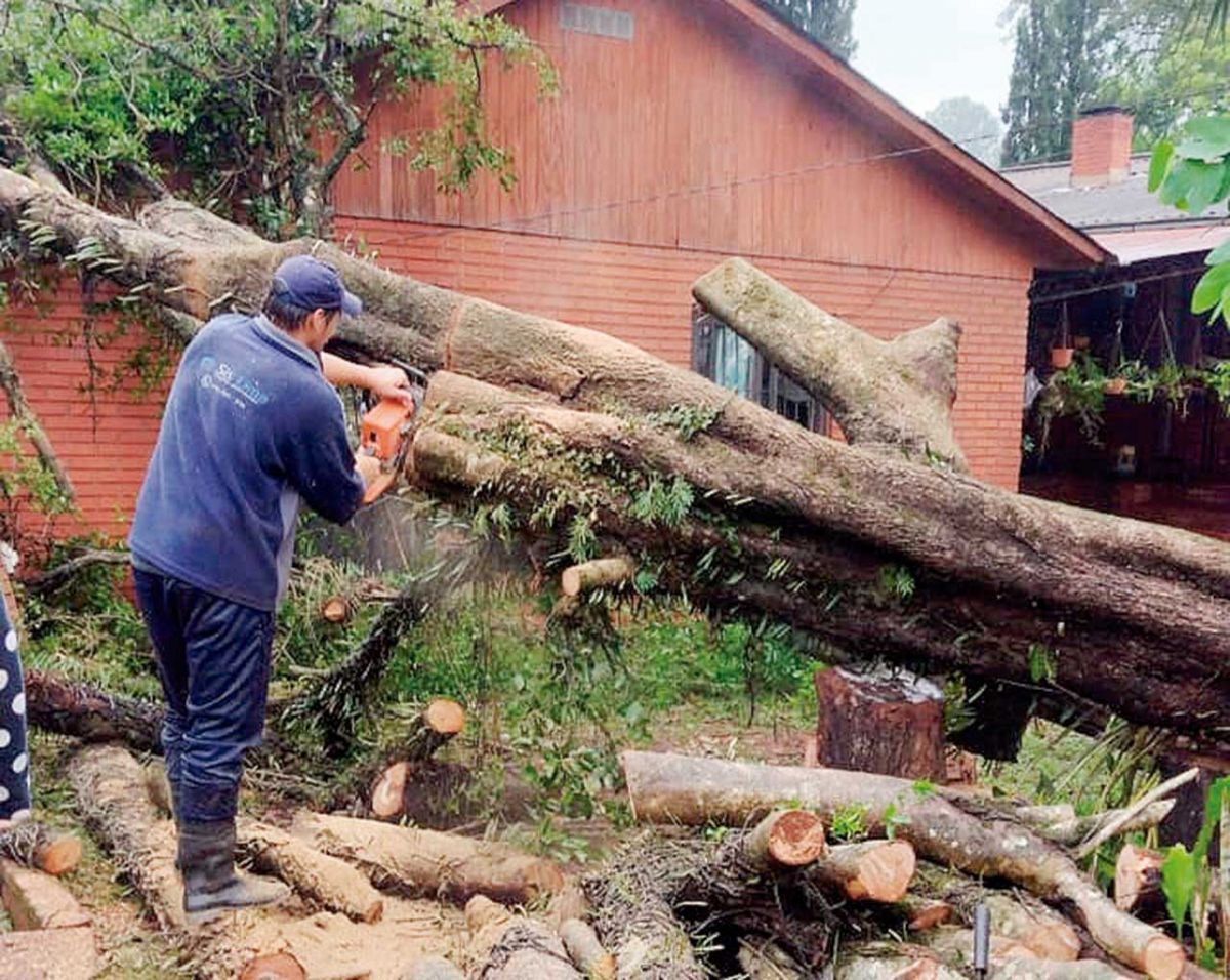 Temporal dejó voladuras de techos y árboles caídos y sigue la alerta