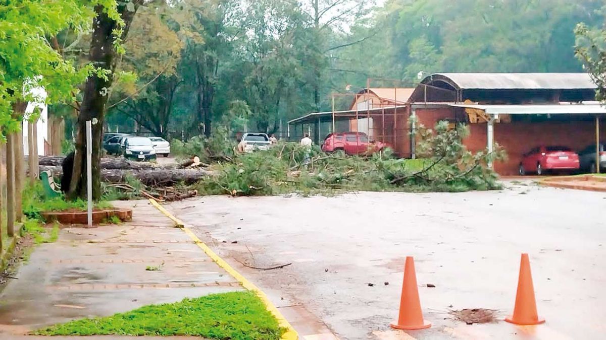 Temporal dejó voladuras de techos y árboles caídos y sigue la alerta