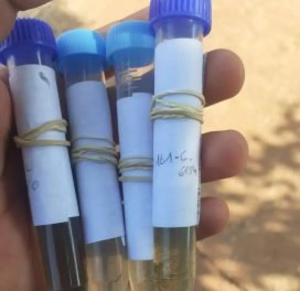 Profundizan controles casa por casa para detectar reservorios de Aedes Aegypti
