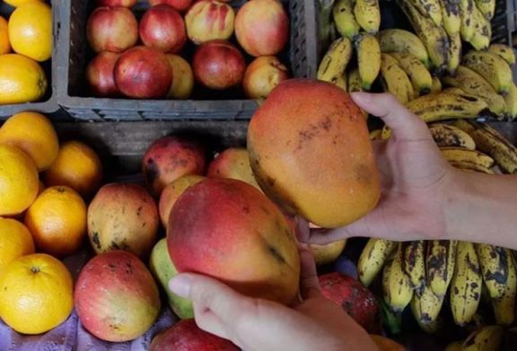 Especialistas vietnamitas capacitarán en producción de frutas tropicales