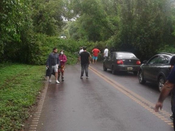 Iguazú: caída de un árbol interrumpió el tránsito sobre la ruta 101 camino al aeropuerto