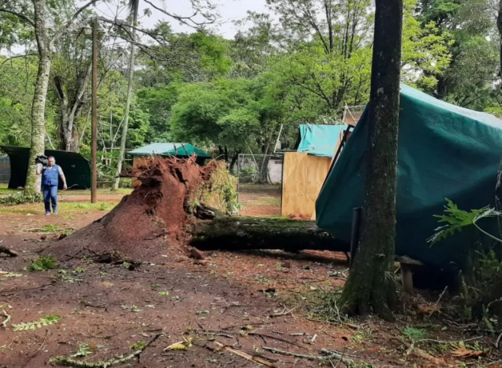 La tormenta provocó serios daños en varios barrios de Montecarlo