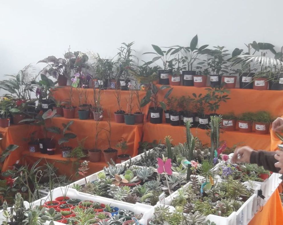 Eldorado: inauguraron el Mercado Concentrador Zonal