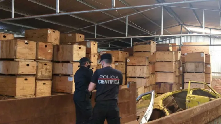 Estiman un faltante del 80 por ciento de lo incautado en Losarcos Estiman un faltante del 80 por ciento de lo incautado en Losarcos