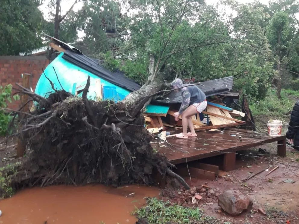 En Puerto Iguazú la caída de un árbol destruyó una casa. Foto: Gentileza Bomberos Voluntarios.