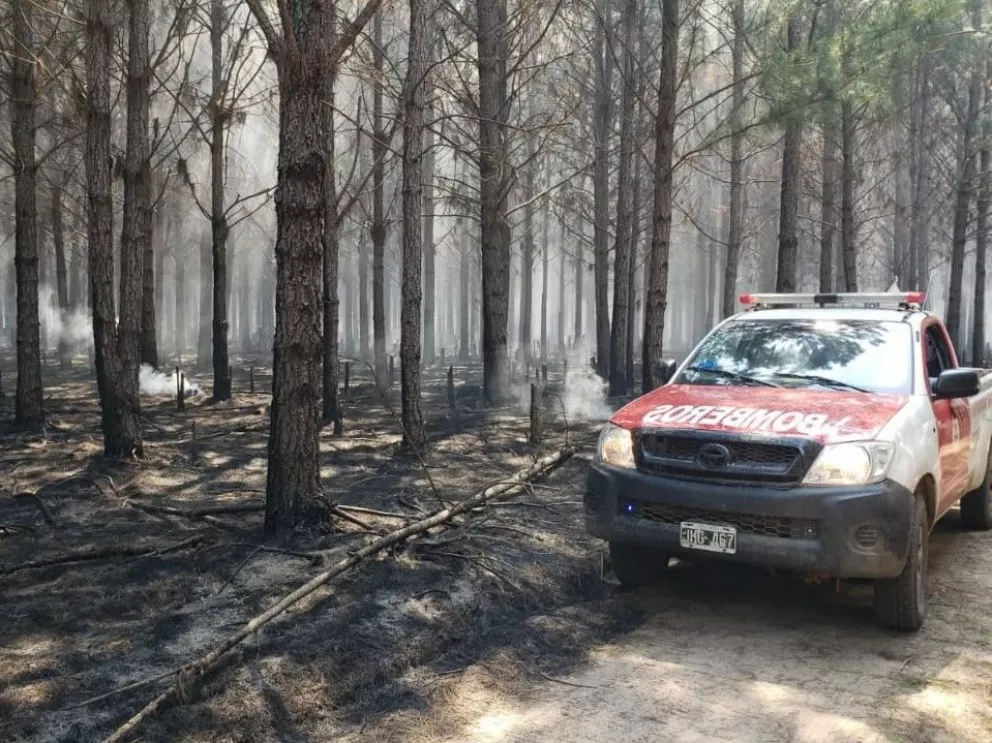 Villa Olivari: incendio forestal afectó alrededor de 200 hectáreas