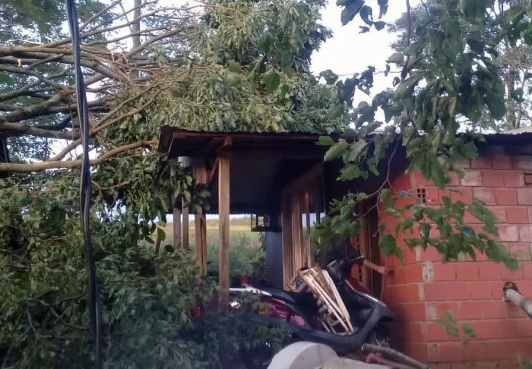 Temporal de viento y granizo afectó a El Soberbio y San Vicente 