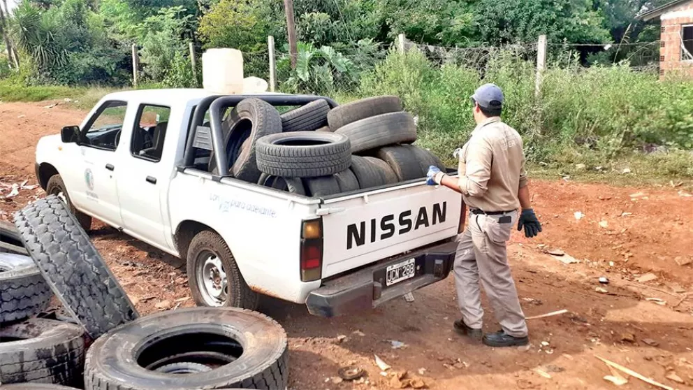 Dengue: retiran neumáticos en desuso