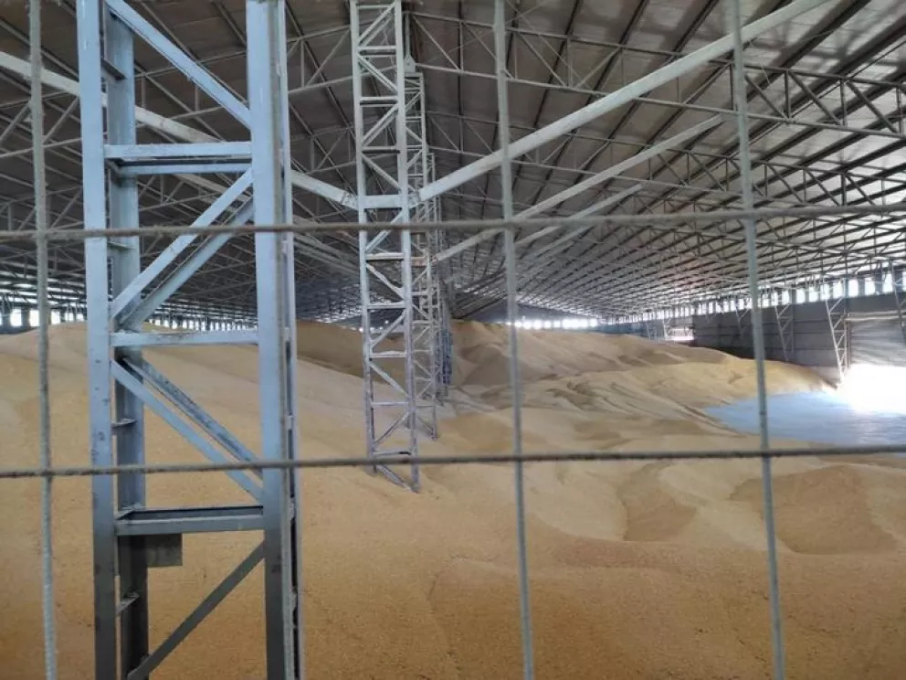 Golpe récord al contrabando: decomisan más de 8.100 toneladas de maíz 