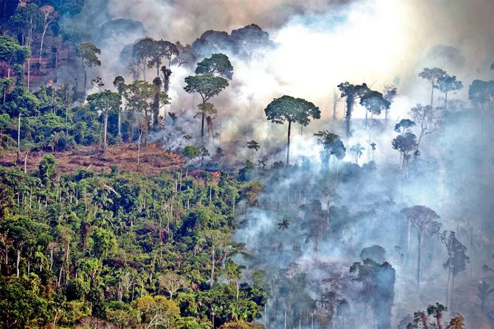 En octubre hubo deforestación récord en la selva amazónica