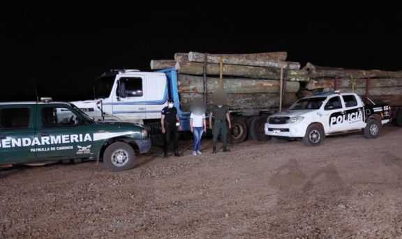 Secuestraron un camión con madera presuntamente robada en San Vicente
