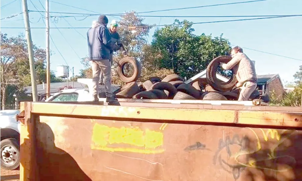 Dengue: sacan dos cargas de camión con cacharros por barrio 