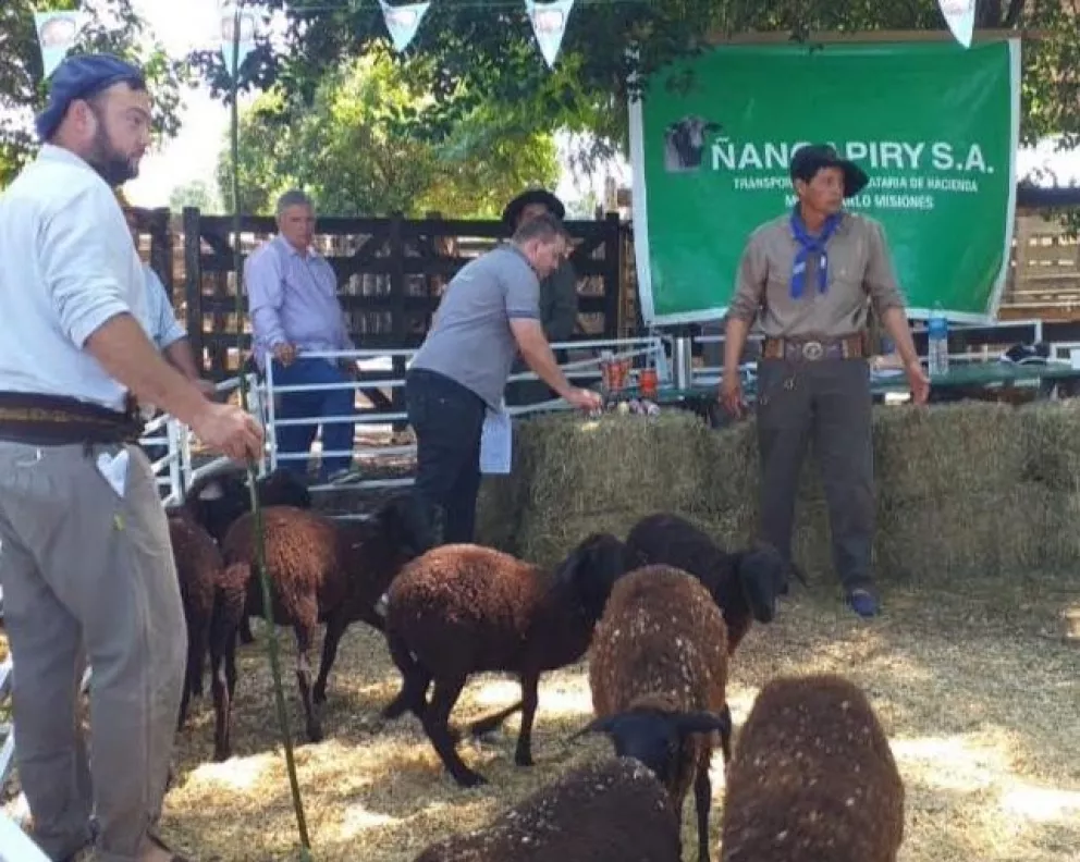 Se realizó primer remate ovino caprino del Alto Paraná