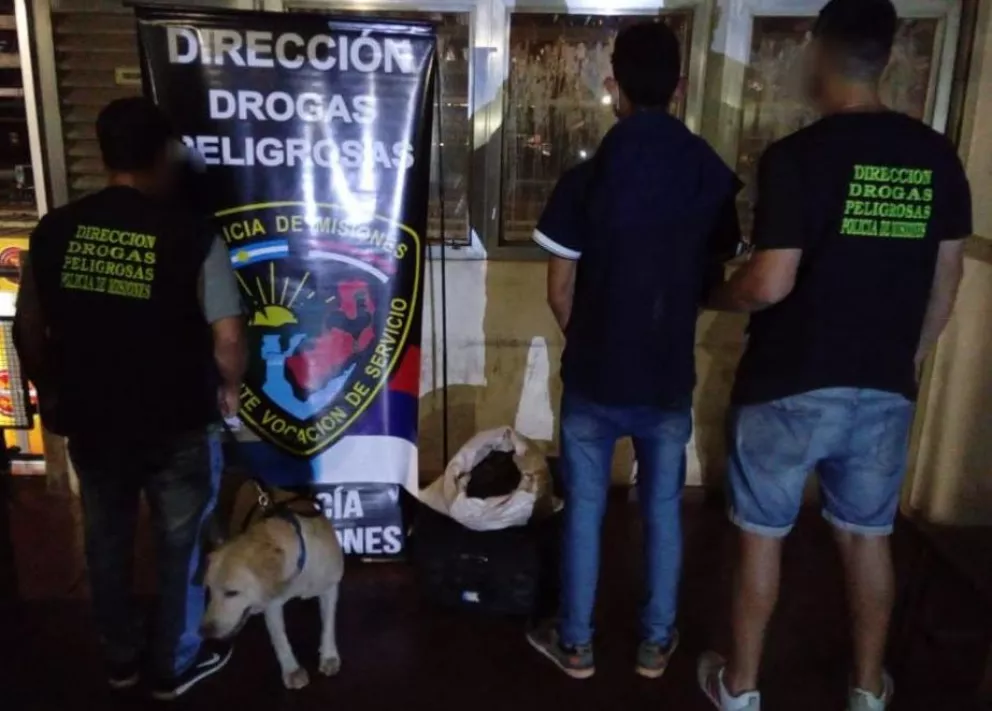 El perro antinarcóticos “Magnum” detectó una valija con marihuana en la terminal de Posadas