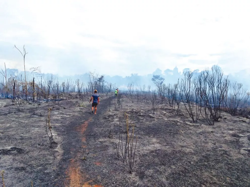 Incendio forestal en las 600 Hectáreas en Iguazú