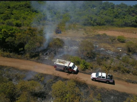Un incendio intencional en la reserva Natural provocó la muerte de muchos animales