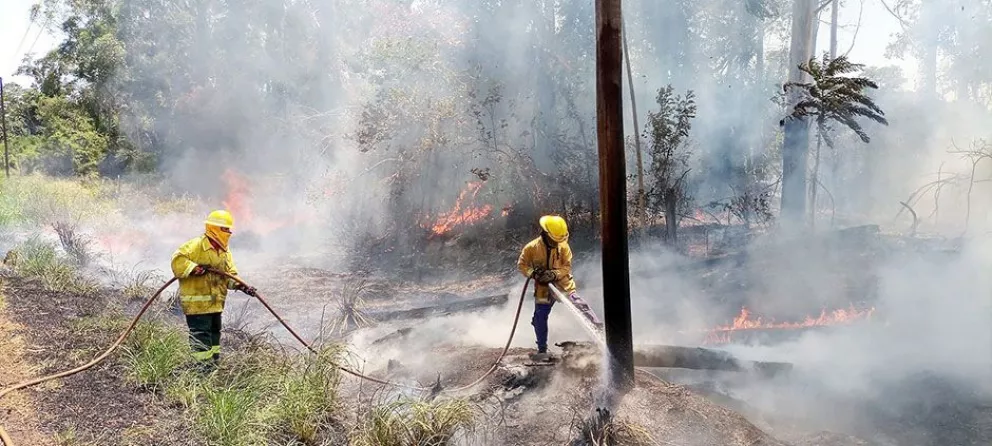 Arduo trabajo de bomberos para sofocar incendios forestales 