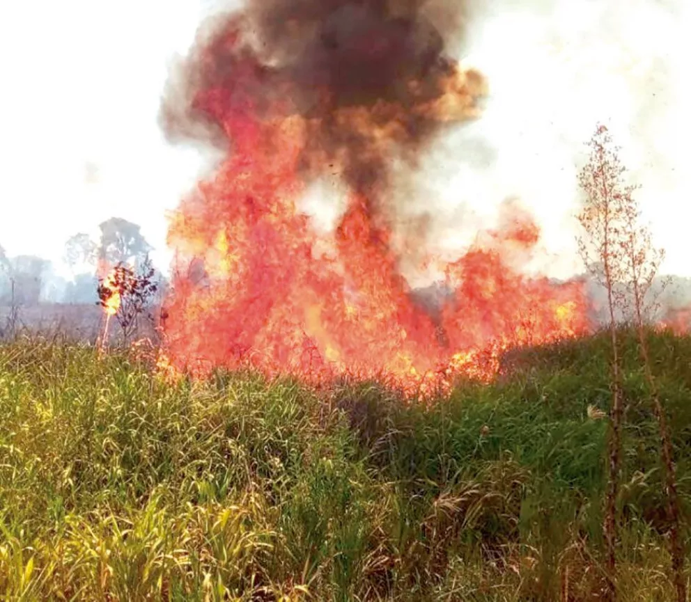 Hay riesgo extremo de incendios y ya se quemaron más de 350 hectáreas