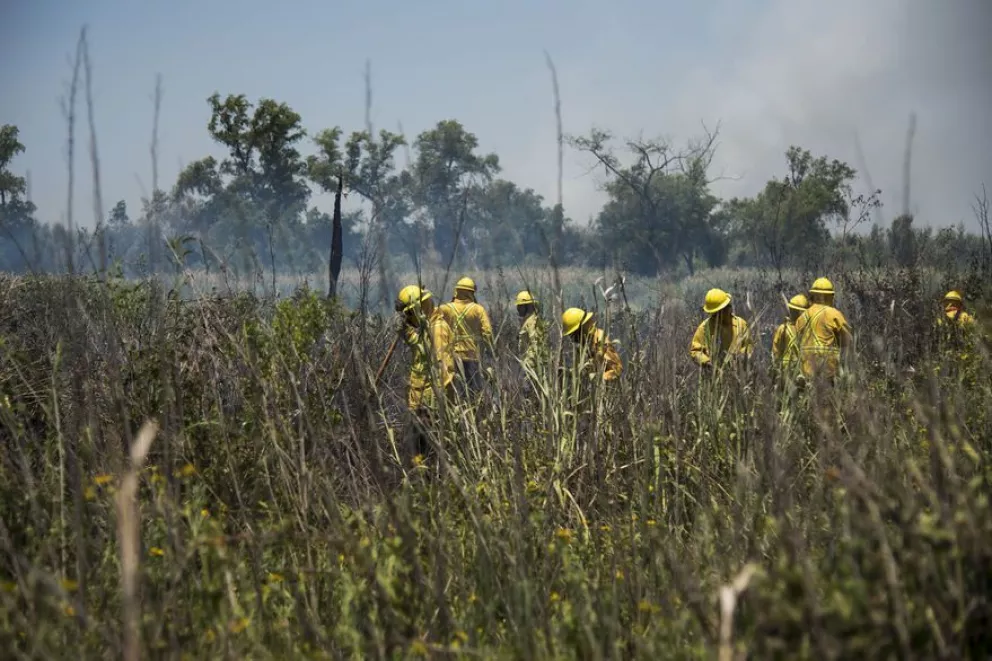 Brigadistas combaten nuevos focos de incendios en el delta del río Paraná
