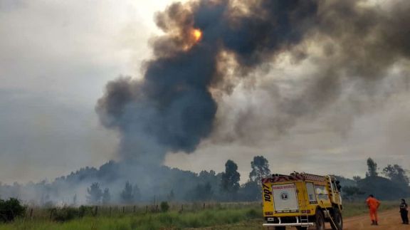 Santo Tomé: incendio de pastizales puso en riesgo la casa de un productor