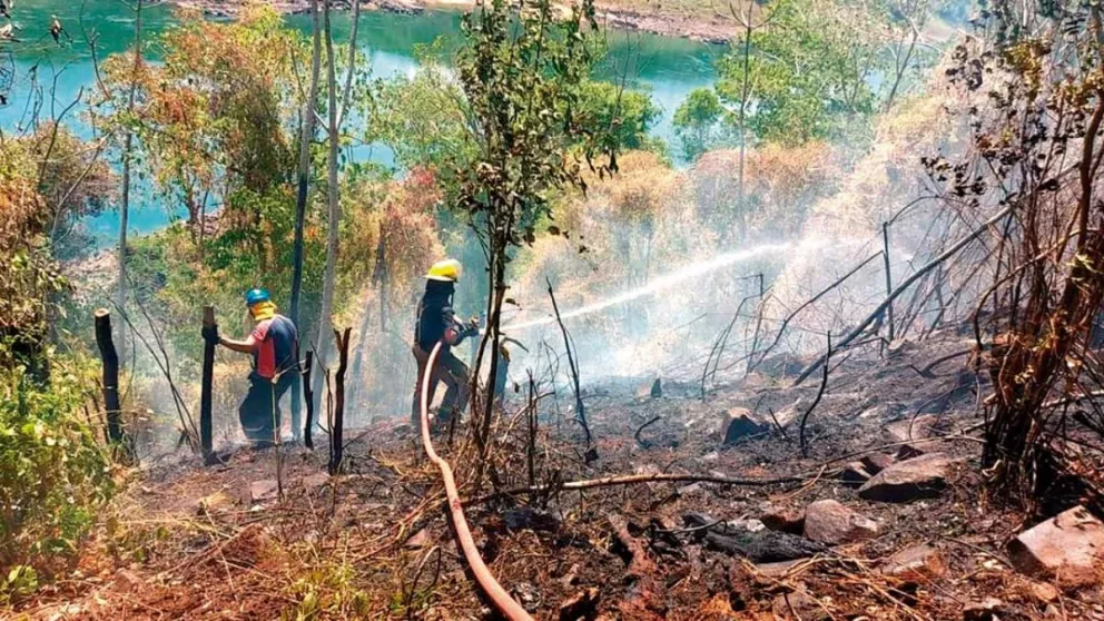 Trabajan para apagar incendios en Iguazú