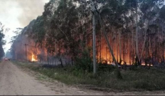 Un incendio intencional pone en riesgo a los Esteros del Iberá