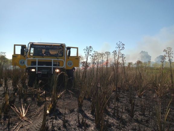 Un nuevo incendio se registró en la Reserva Natural de Santo Tomé