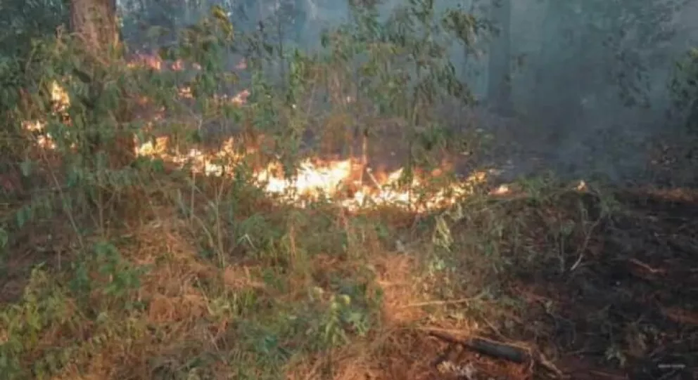 Dos focos de incendio afectan a la localidad de Capioví