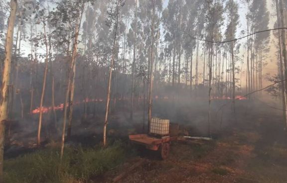 Feroz incendio forestal en Puerto Rico