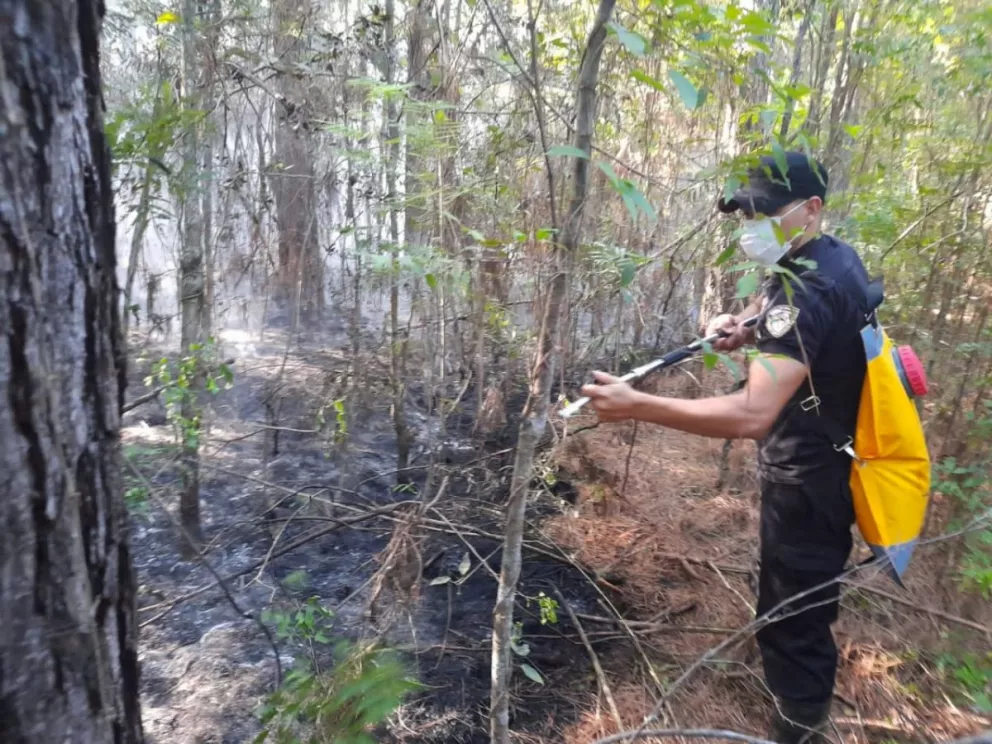 Se incendiaron cinco hectáreas en Santo Pipó