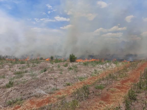 Nuevos focos de incendios en Santo Pipó, Corpus y Gobernador Roca